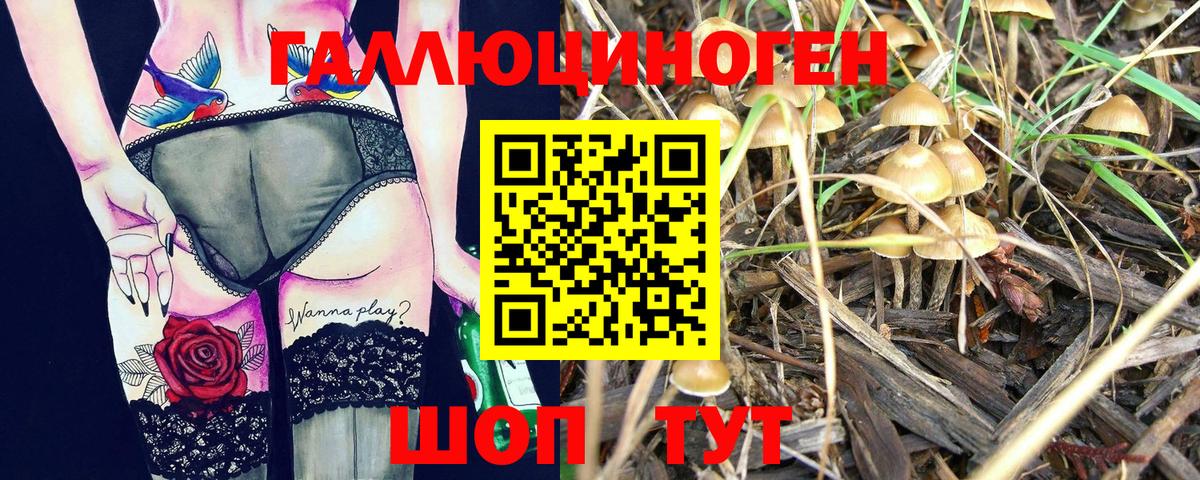 Псилоцибиновые грибы мухоморы Чапаевск