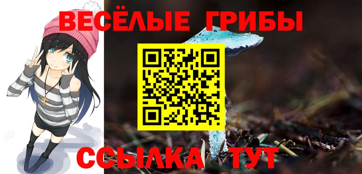Галлюциногенные грибы мицелий  Вход с VPN  продажа наркотиков  Чапаевск 
